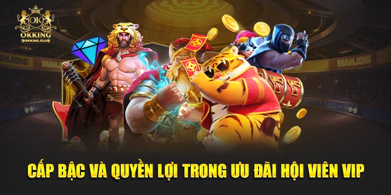 Cấp bậc và quyền lợi trong ưu đãi hội viên VIP
